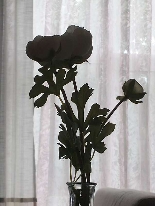 Гостиница Аквилон Новосибирск-159